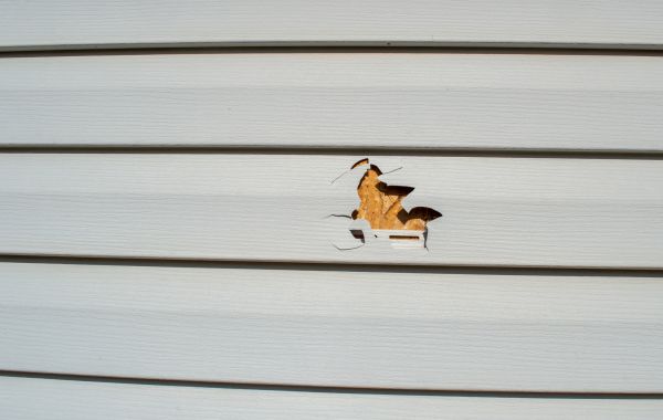 Siding Hole Patching in Brentwood