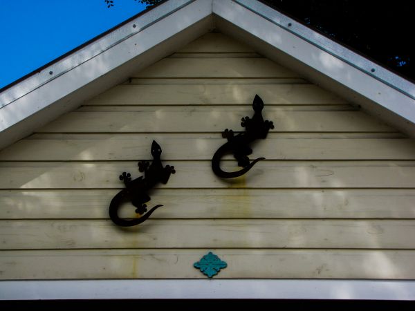 Cost of Shiplap Siding Installation in Brentwood